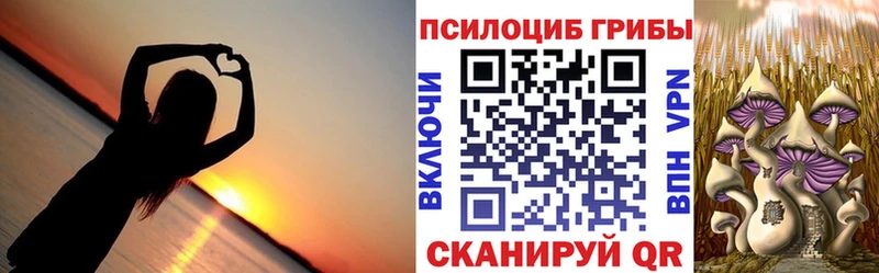 Псилоцибиновые грибы GOLDEN TEACHER  Ковылкино 